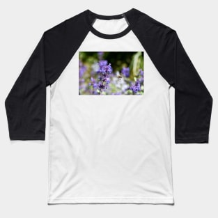 Honig Biene & Ziel im Auge / Swiss Artwork Photography Baseball T-Shirt